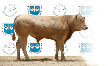 57. TK POLO